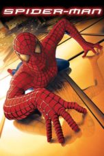Nonton Spider-Man (2002) Sub Indo