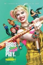 Nonton Birds of Prey (and the Fantabulous Emancipation of One Harley Quinn) (2020) Sub Indo