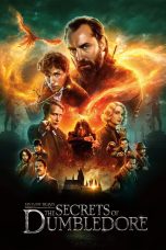 Nonton Fantastic Beasts: The Secrets of Dumbledore (2022) Sub Indo